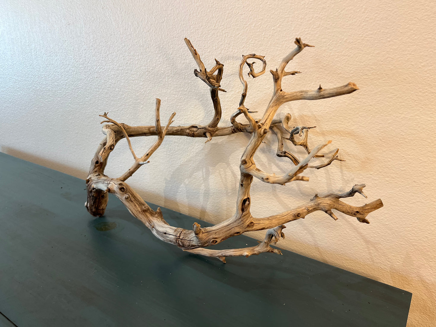 Manzanita 25" Natural Driftwood Branch, XL Driftwood