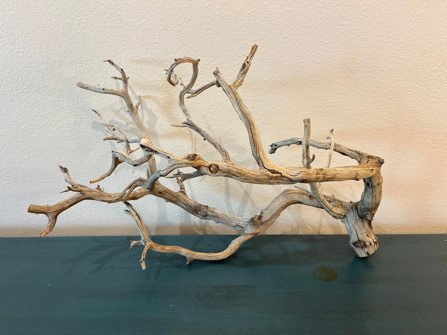 Manzanita 25" Natural Driftwood Branch, XL Driftwood