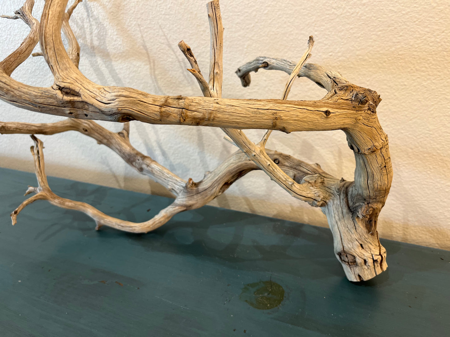 Manzanita 25" Natural Driftwood Branch, XL Driftwood