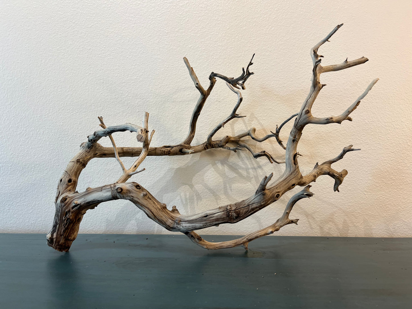 Manzanita 25" Natural Driftwood Branch, XL Driftwood