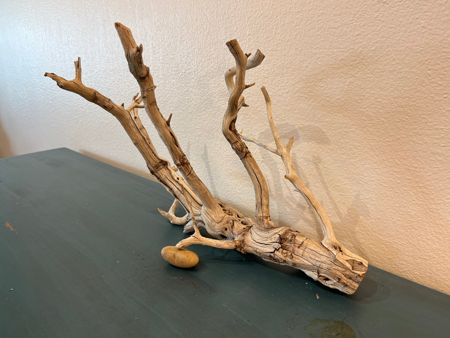 17" Manzanita Driftwood Branch, Natural Aquascape #2050