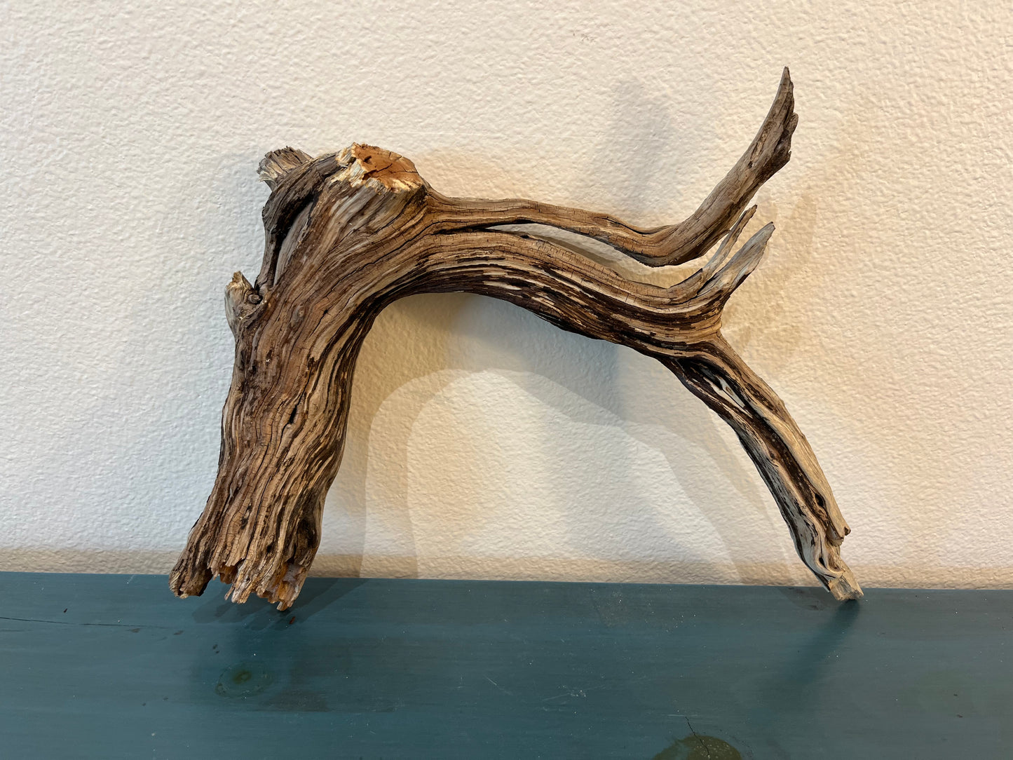 16" Manzanita Natural Manzanita Arch, Driftwood Branch #2052