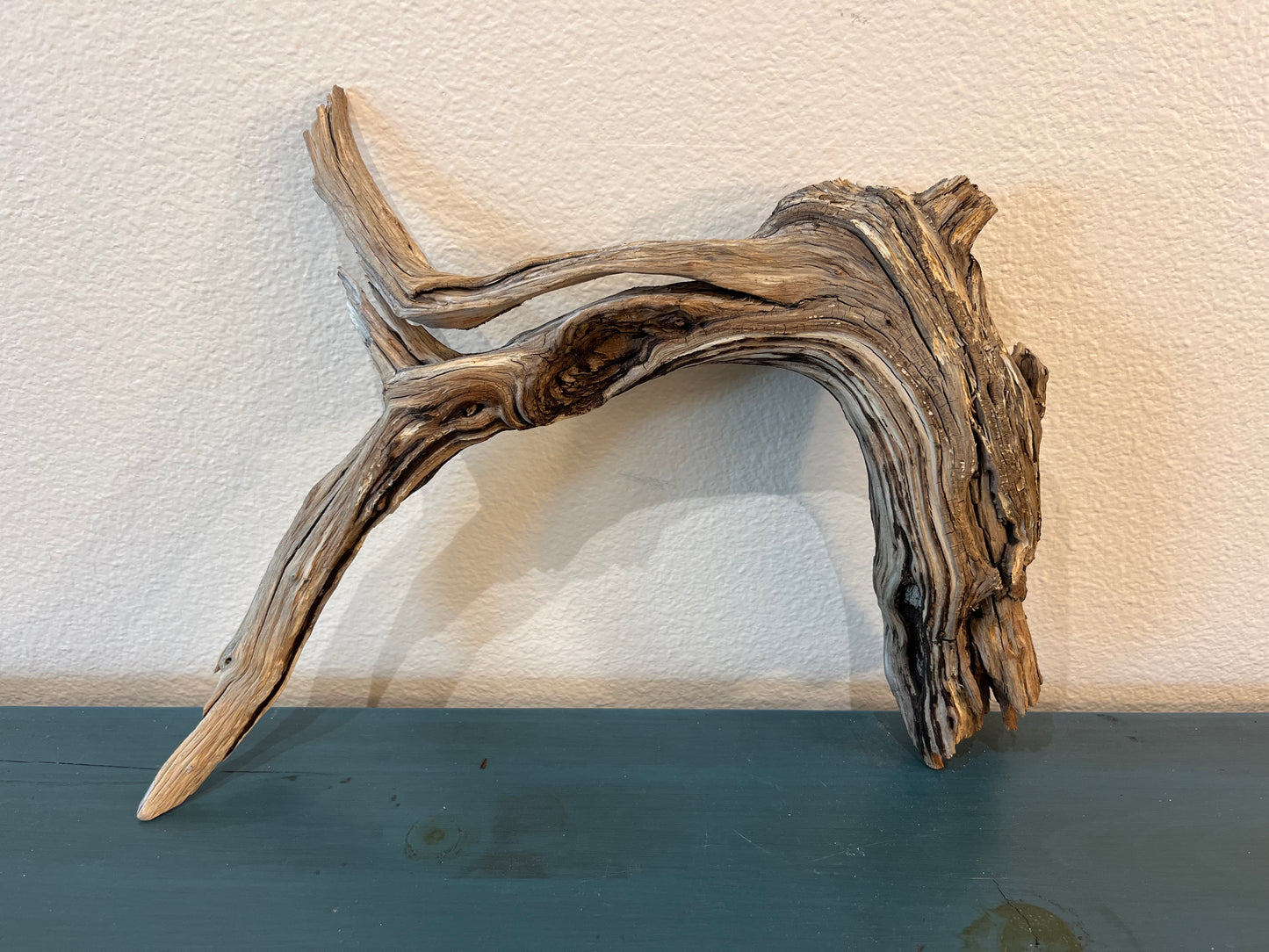 16" Manzanita Natural Manzanita Arch, Driftwood Branch #2052