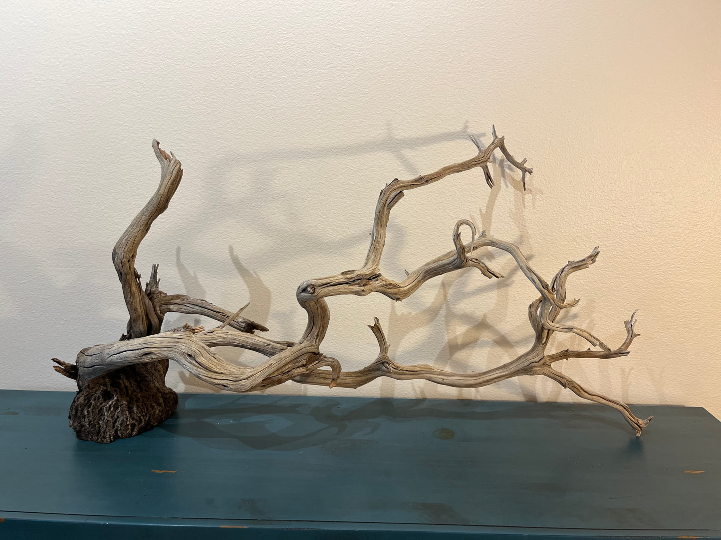 44" XL Centerpiece Manzanita Driftwood Branch, Aquascape Decor