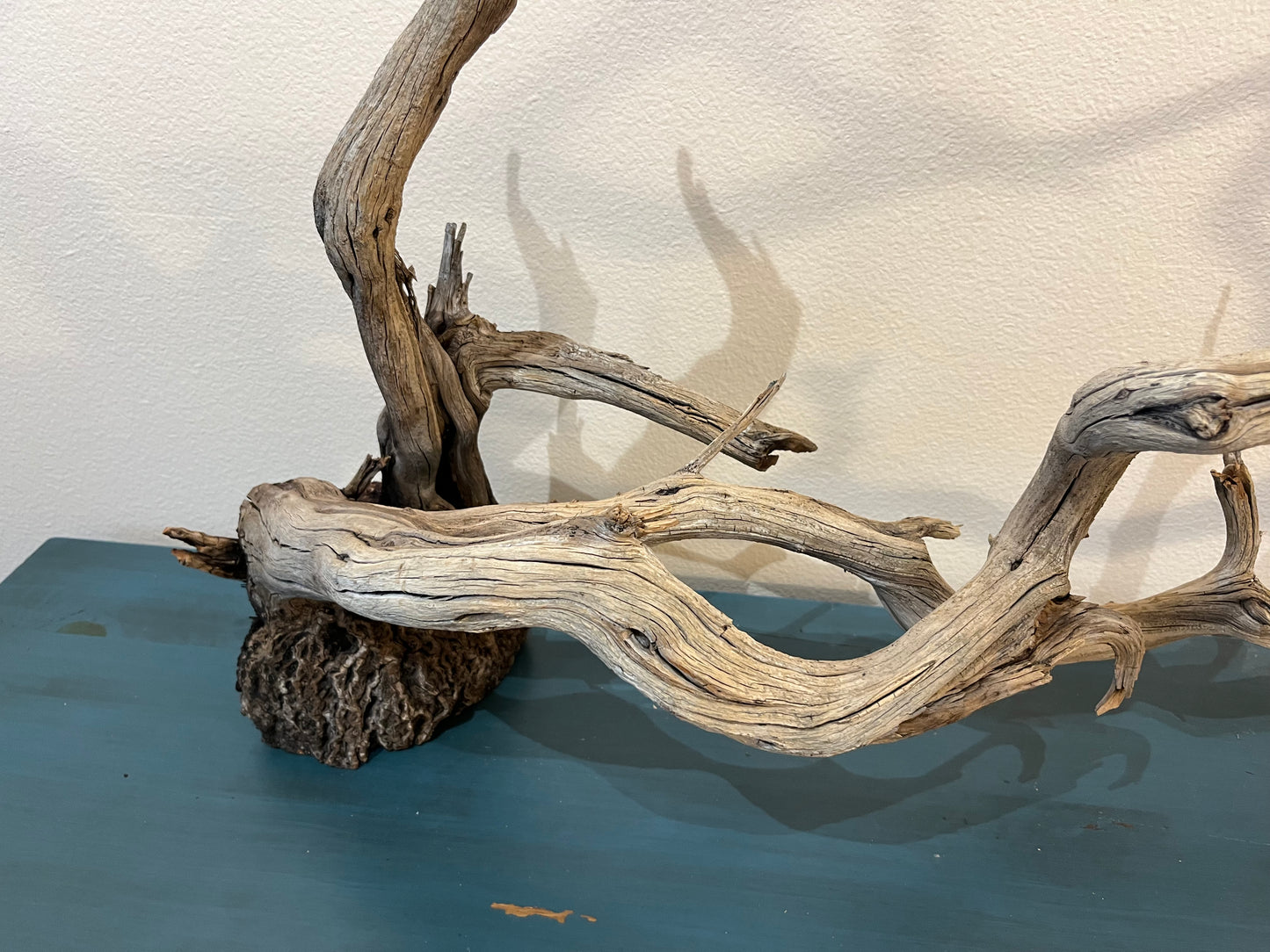 44" XL Centerpiece Manzanita Driftwood Branch, Aquascape Decor