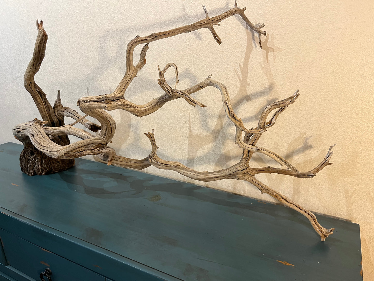 44" XL Centerpiece Manzanita Driftwood Branch, Aquascape Decor