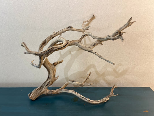 24" Manzanita Driftwood Branch, XL Driftwood, Aquascape Centerpiece #3060