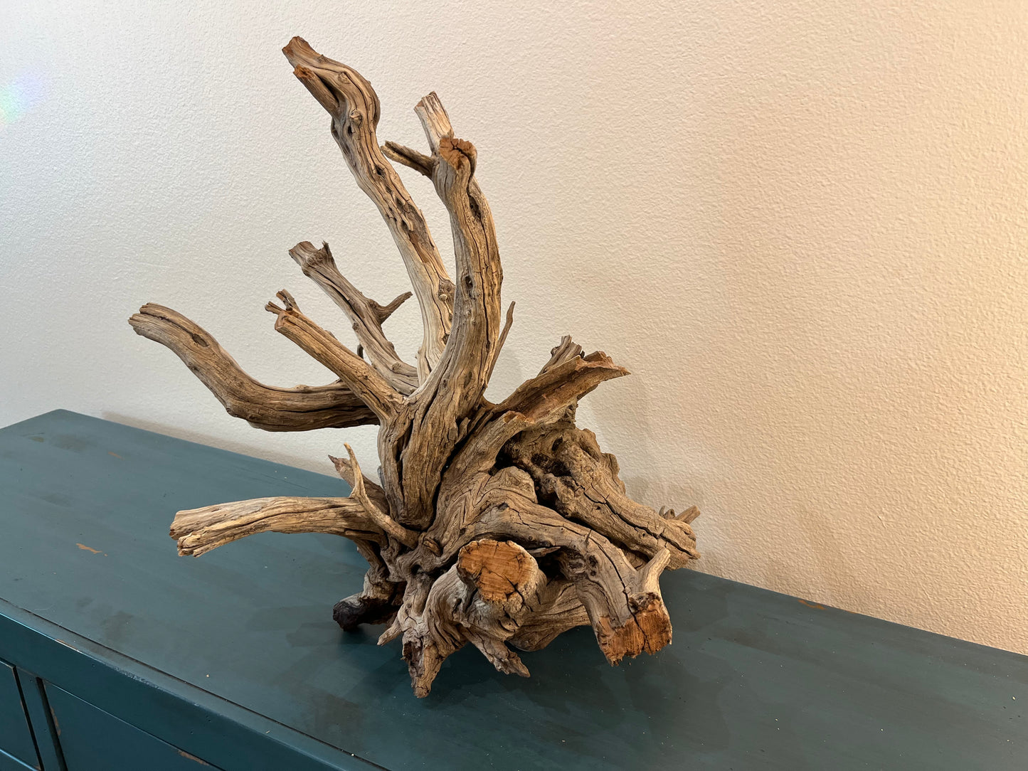 XL Manzanita Driftwood Root, Aquascape Centerpiece, Aquarium Showpiece 25"