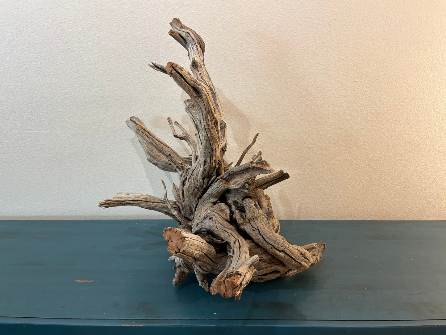 XL Manzanita Driftwood Root, Aquascape Centerpiece, Aquarium Showpiece 25"