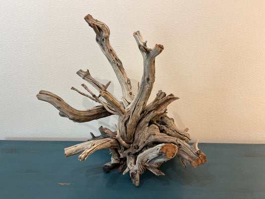 XL Manzanita Driftwood Root, Aquascape Centerpiece, Aquarium Showpiece 25"