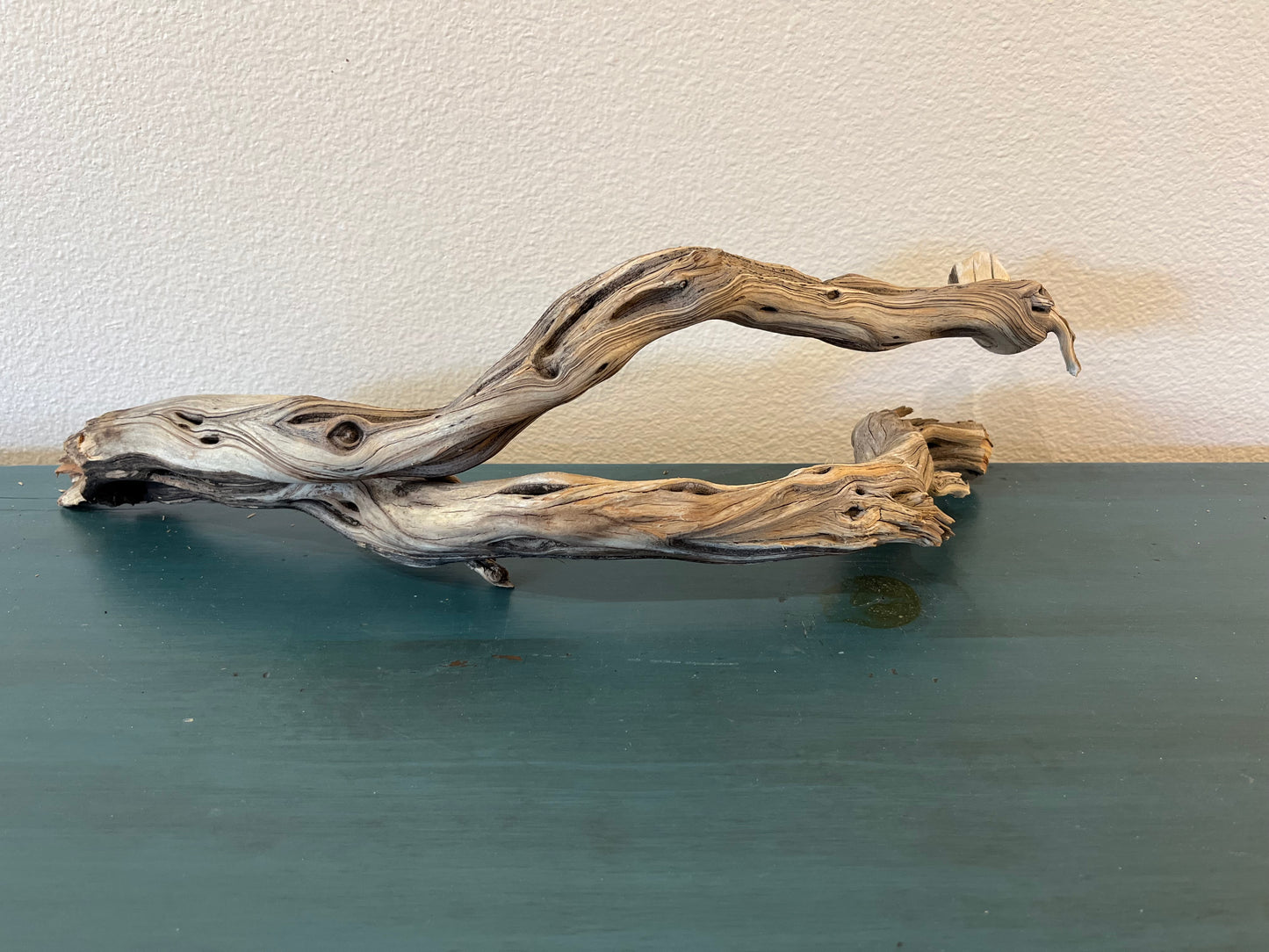 21" Driftwood Forked Branch, Manzanita Driftwood, Aquarium Decor