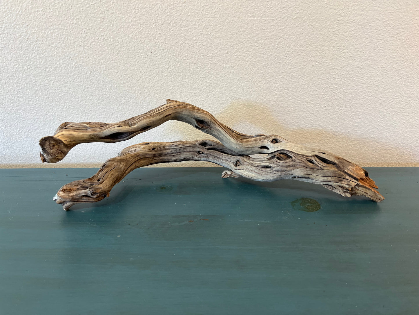 21" Driftwood Forked Branch, Manzanita Driftwood, Aquarium Decor