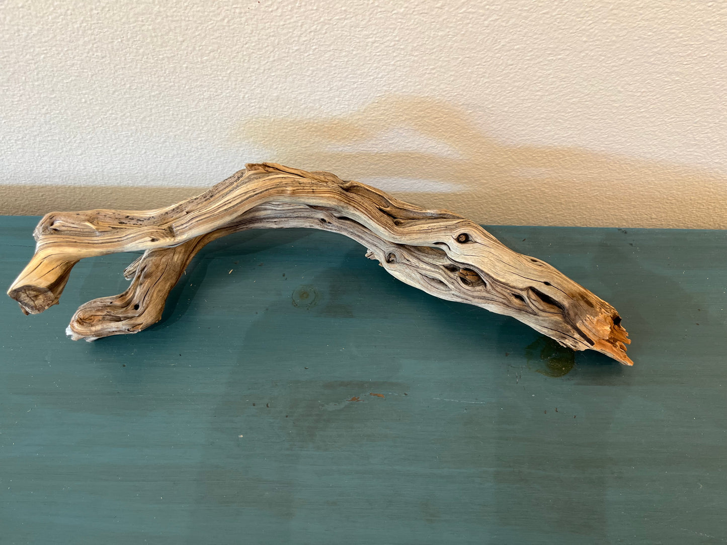 21" Driftwood Forked Branch, Manzanita Driftwood, Aquarium Decor