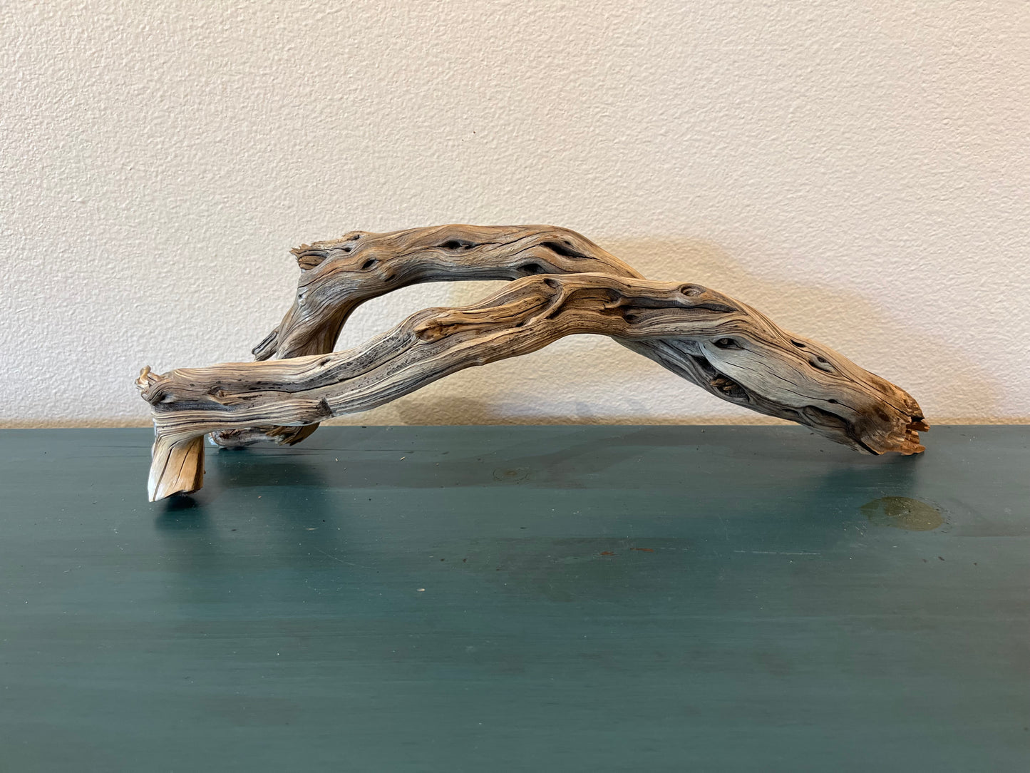 21" Driftwood Forked Branch, Manzanita Driftwood, Aquarium Decor