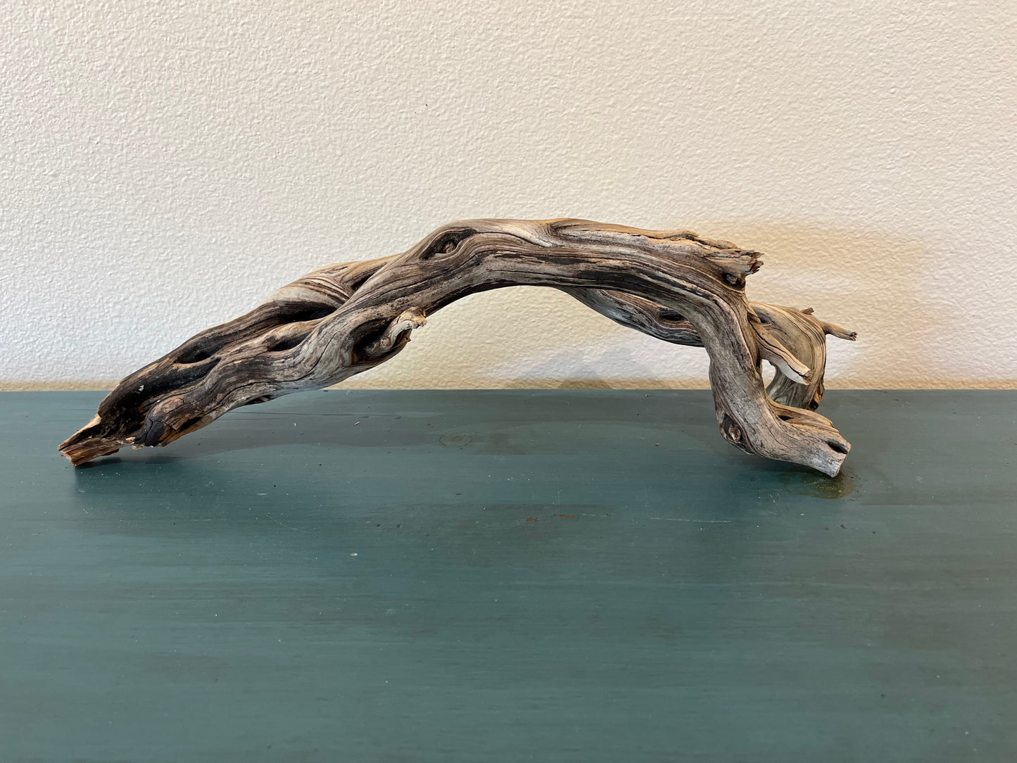 21" Driftwood Forked Branch, Manzanita Driftwood, Aquarium Decor