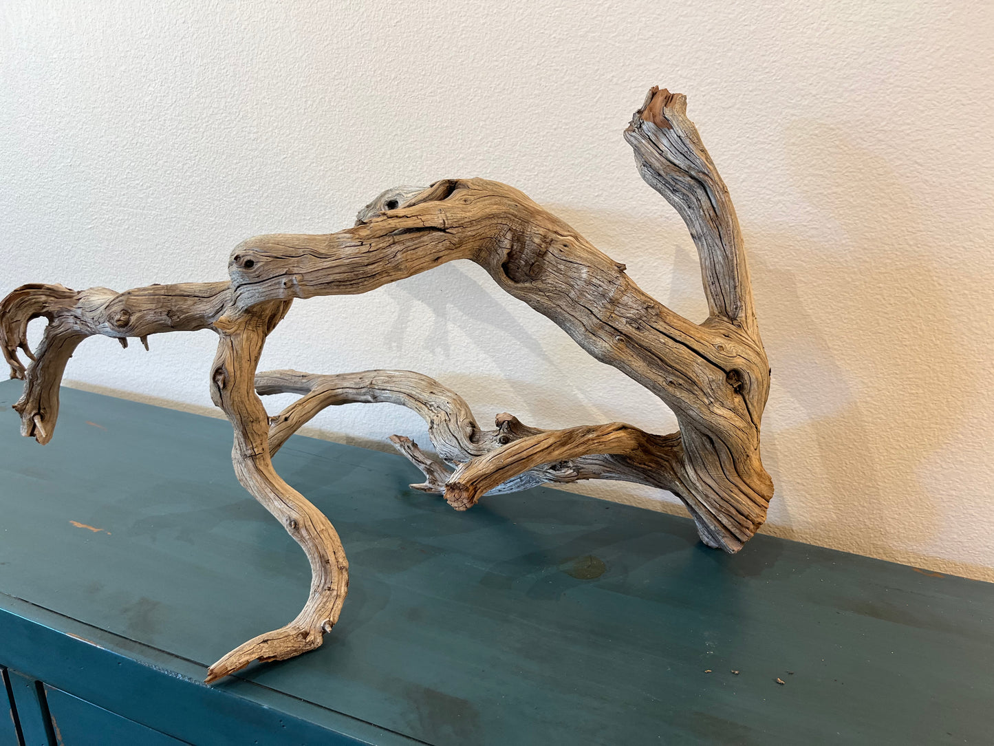 28" XL Manzanita Driftwood Multibranched Centerpiece, Aquascape, Terrarium Wood