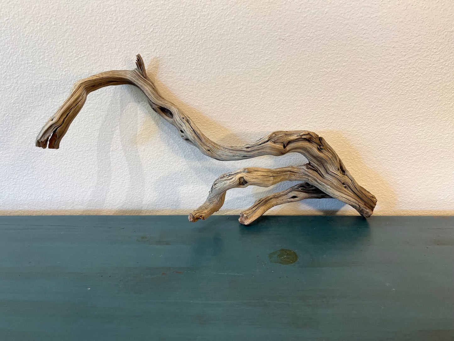 23" Driftwood Branch, Manzanita Driftwood, Terrarium Wood, Reptile Wood