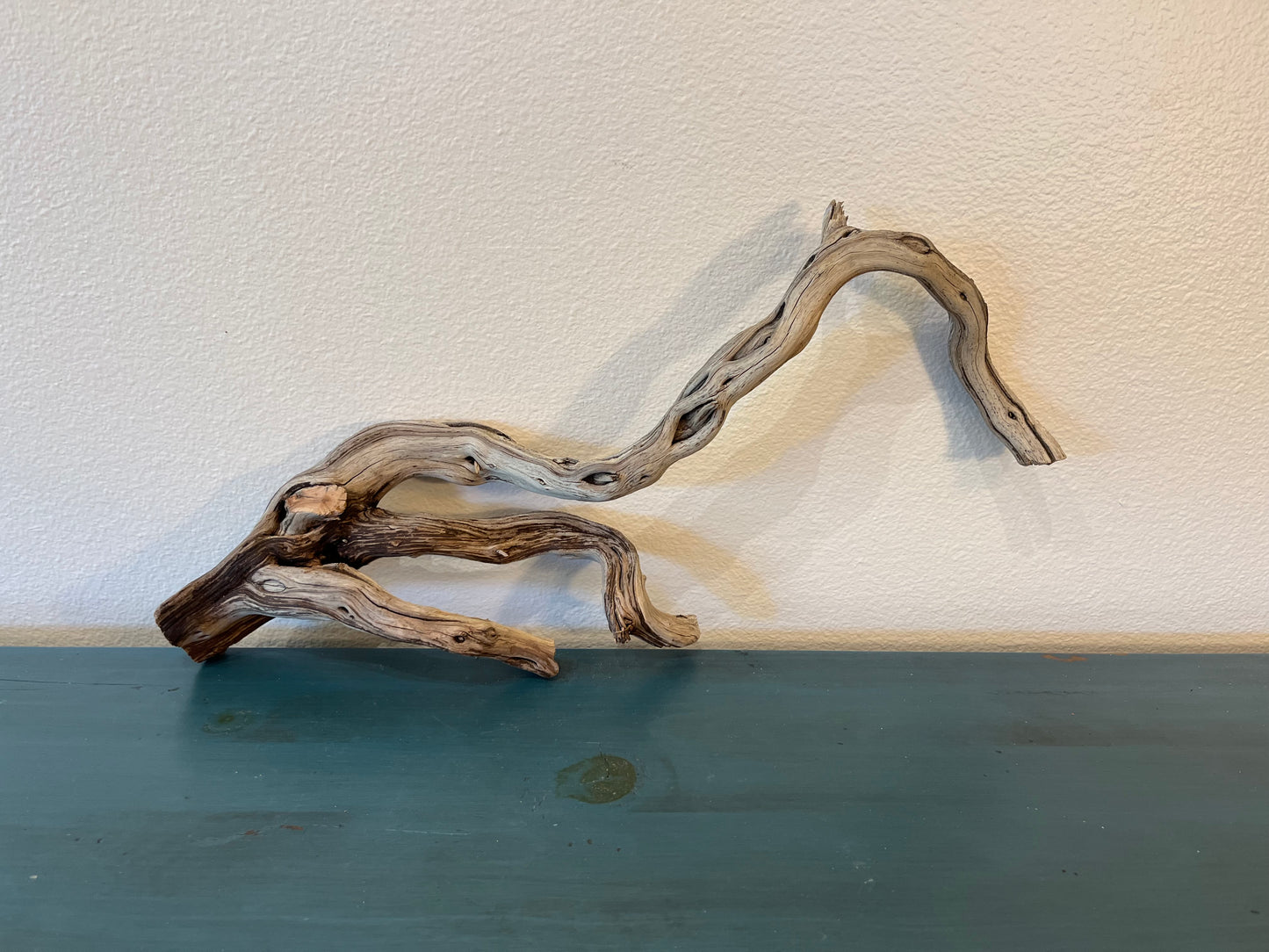 23" Driftwood Branch, Manzanita Driftwood, Terrarium Wood, Reptile Wood