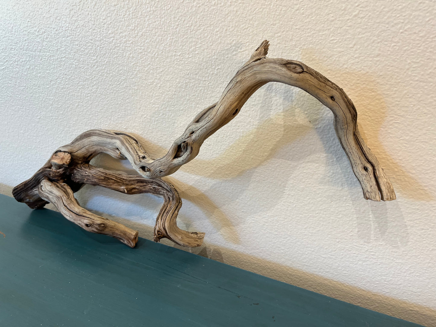 23" Driftwood Branch, Manzanita Driftwood, Terrarium Wood, Reptile Wood