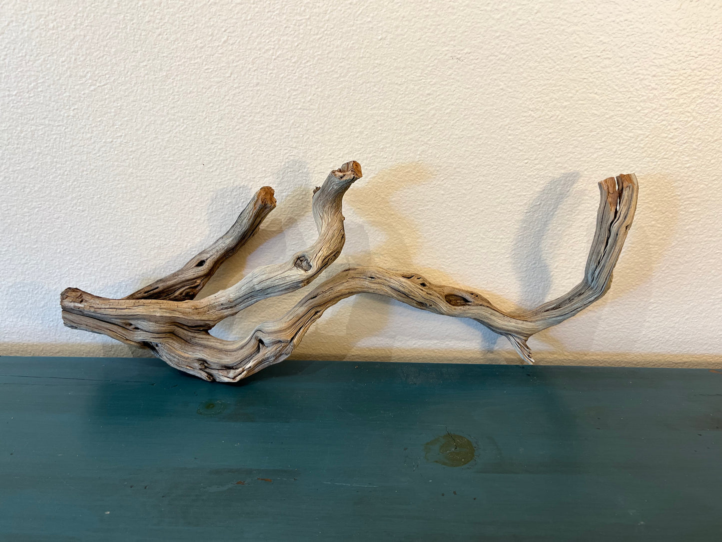 23" Driftwood Branch, Manzanita Driftwood, Terrarium Wood, Reptile Wood