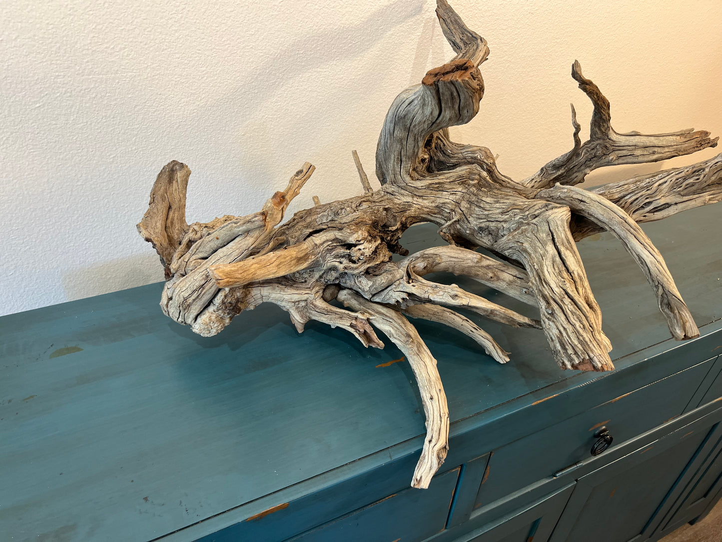 33" XL Manzanita Driftwood Centerpiece, Manzanita Root, Aquascape Showpiece