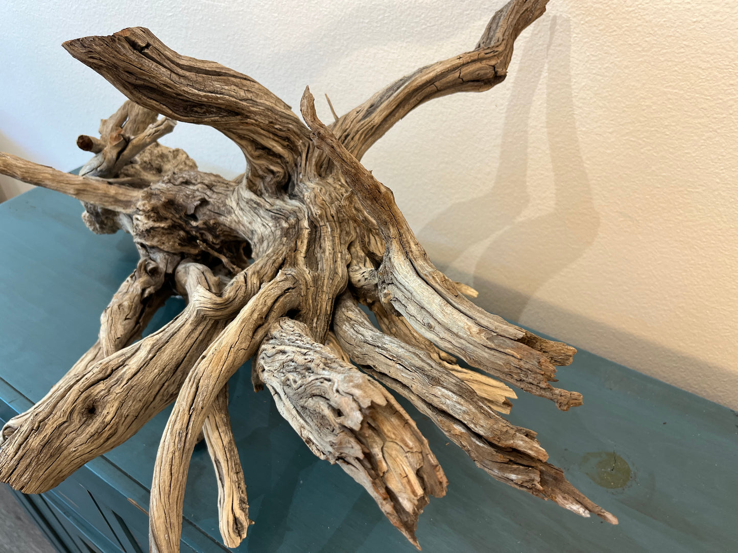 33" XL Manzanita Driftwood Centerpiece, Manzanita Root, Aquascape Showpiece