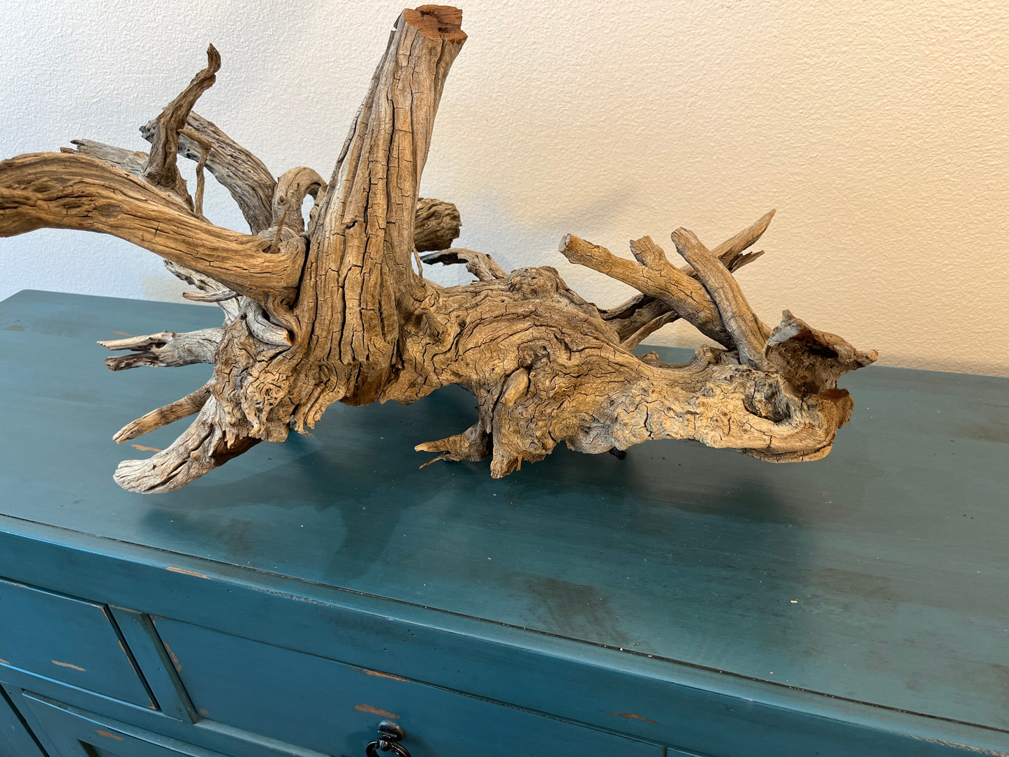 33" XL Manzanita Driftwood Centerpiece, Manzanita Root, Aquascape Showpiece