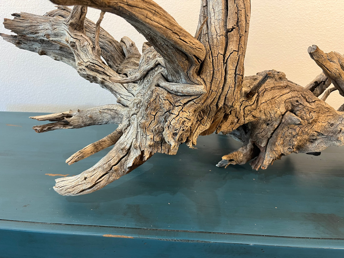 33" XL Manzanita Driftwood Centerpiece, Manzanita Root, Aquascape Showpiece