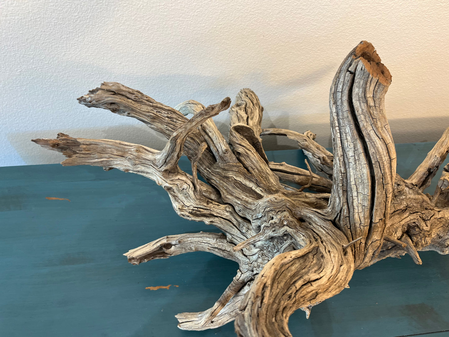 33" XL Manzanita Driftwood Centerpiece, Manzanita Root, Aquascape Showpiece