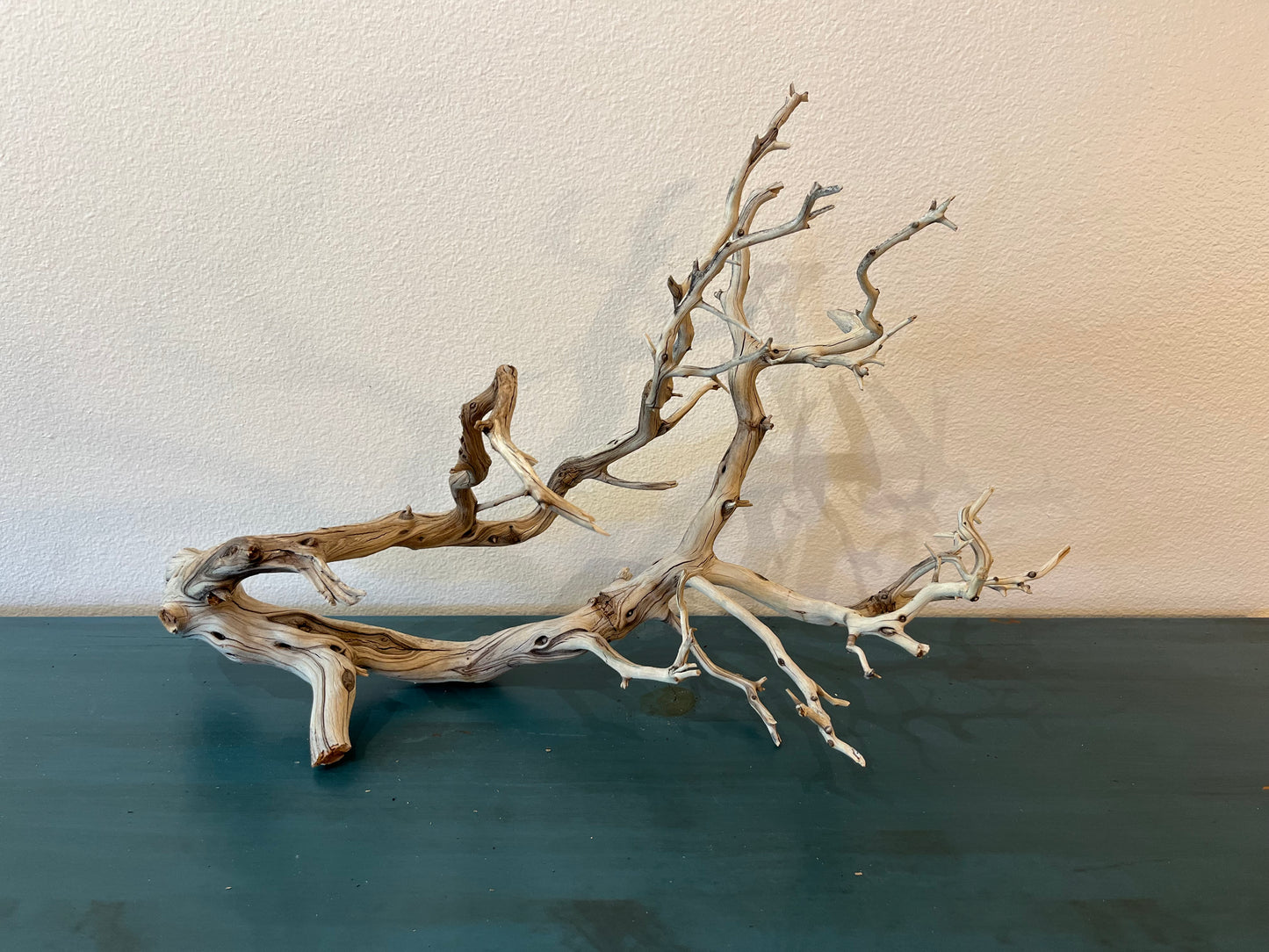 XL Manzanita Driftwood Centerpiece, Aquascape XL Driftwood, Aquarium Decor 27"