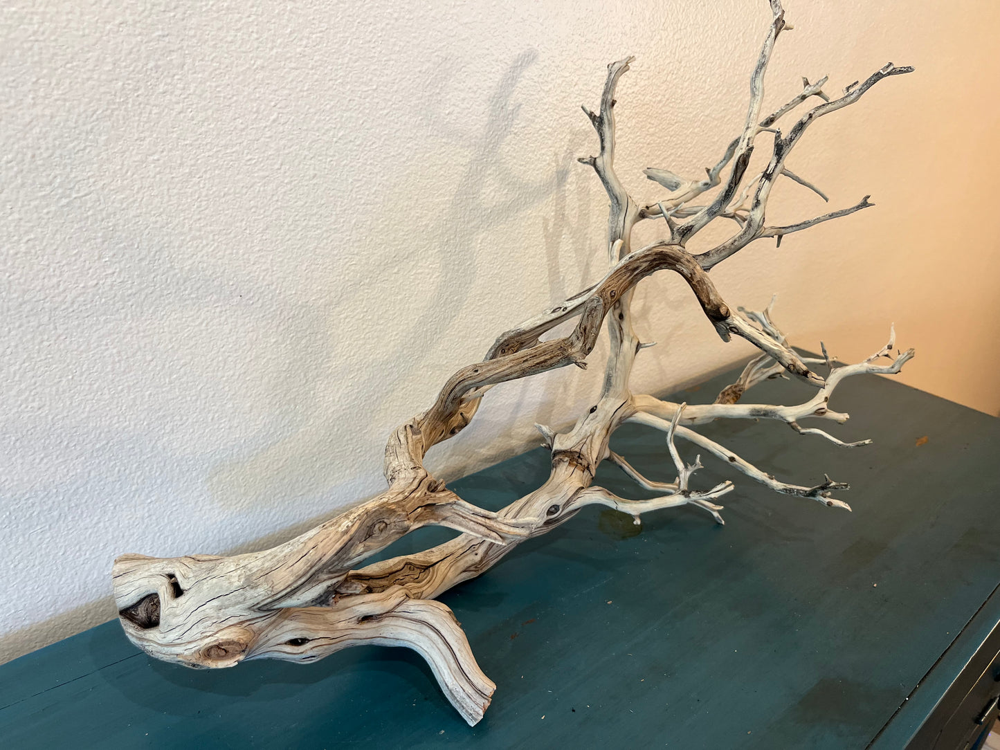 XL Manzanita Driftwood Centerpiece, Aquascape XL Driftwood, Aquarium Decor 27"