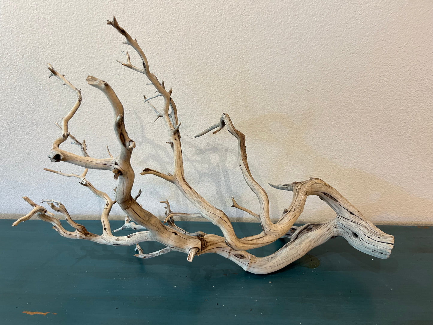 XL Manzanita Driftwood Centerpiece, Aquascape XL Driftwood, Aquarium Decor 27"