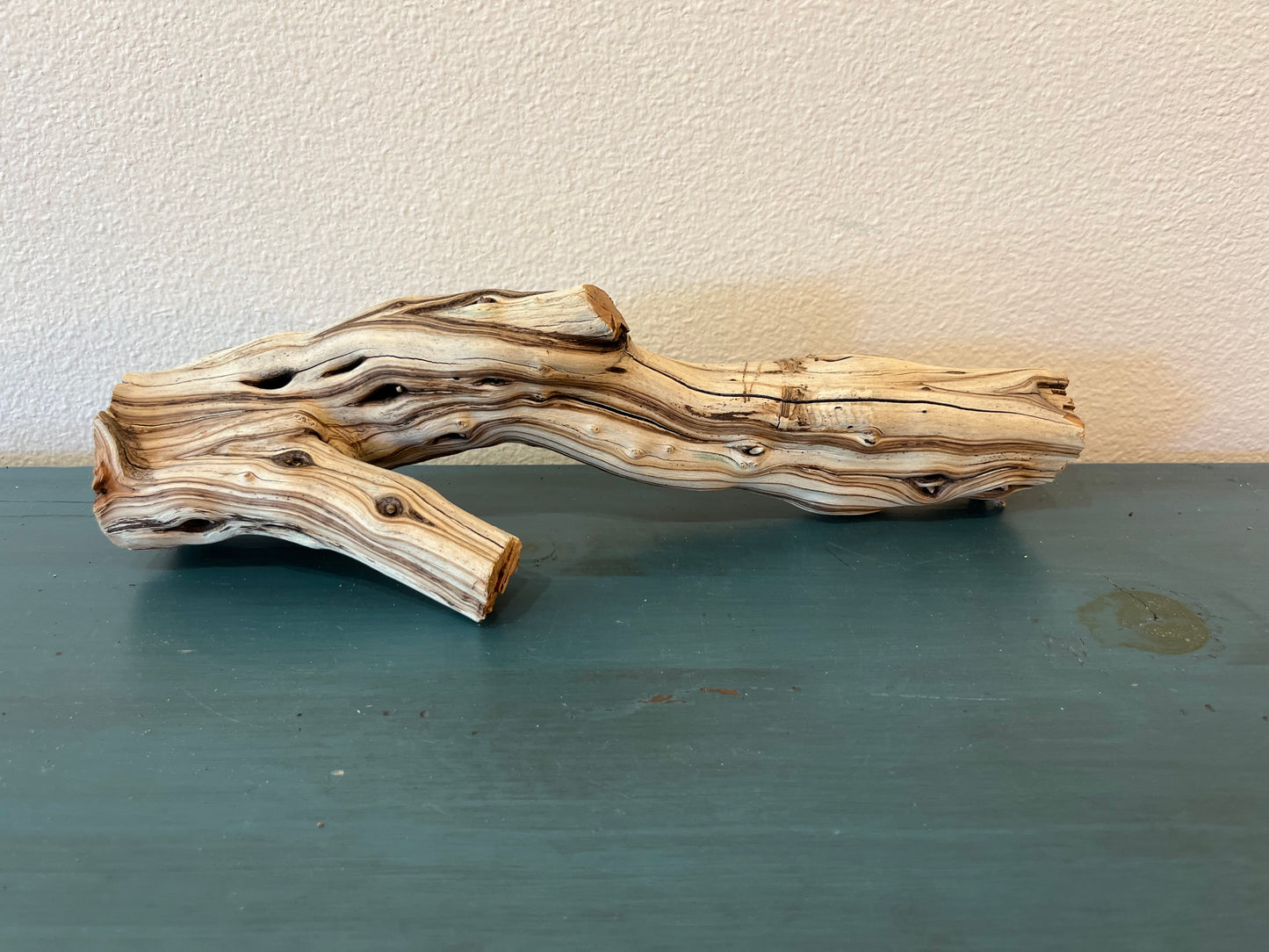 16" Driftwood Log, Manzanita Aquascape, Reptile Wood, Terrarium Decor