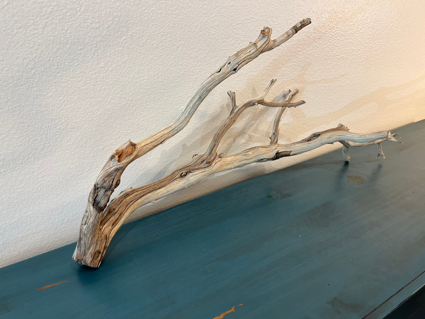 33" XL Manzanita Multibranched Driftwood, Aquarium Centerpiece, XL Aquascape