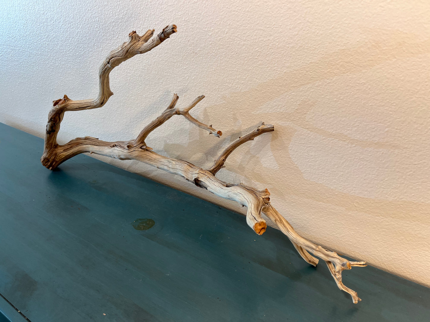 33" XL Manzanita Multibranched Driftwood, Aquarium Centerpiece, XL Aquascape