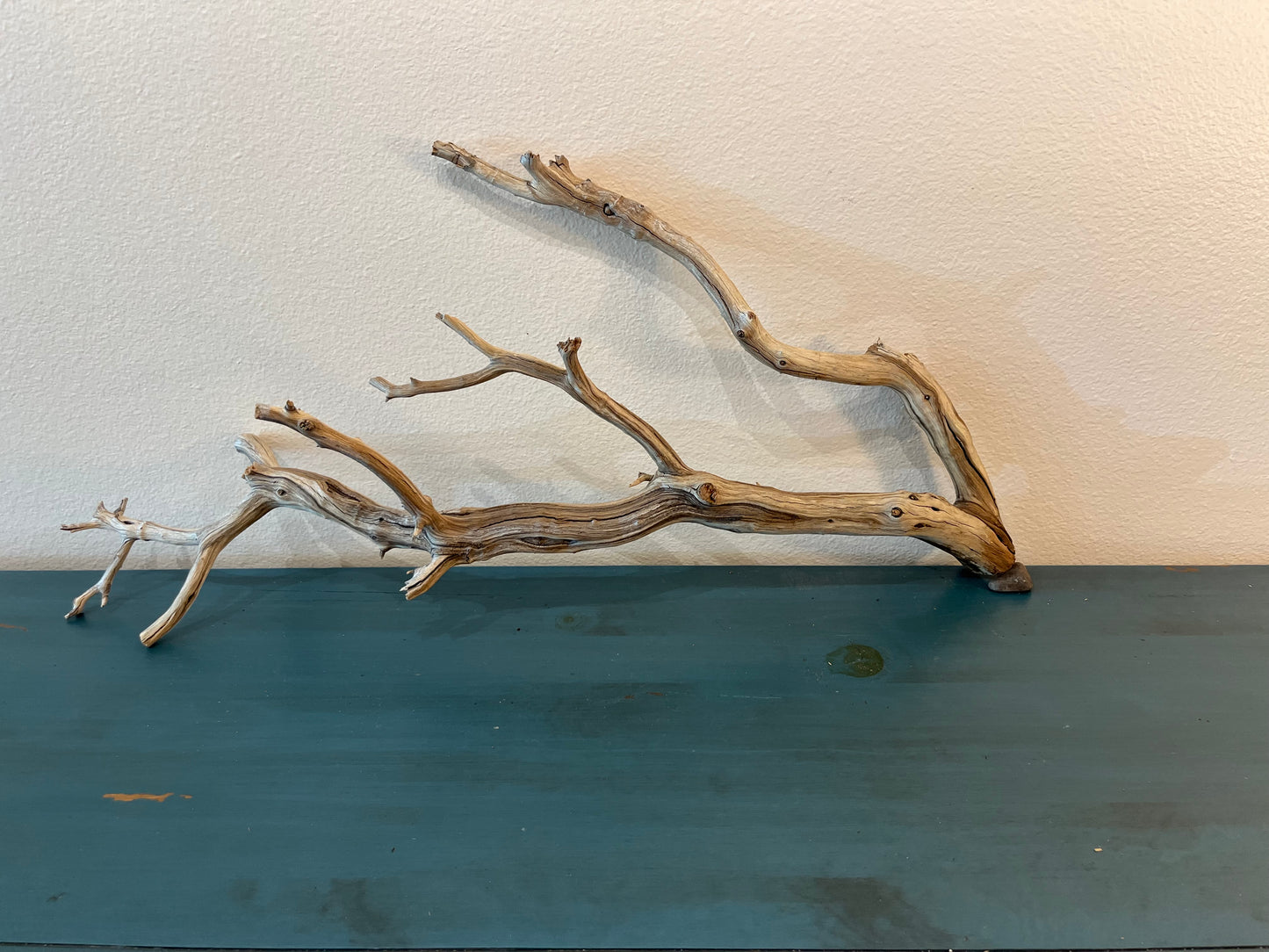 33" XL Manzanita Multibranched Driftwood, Aquarium Centerpiece, XL Aquascape