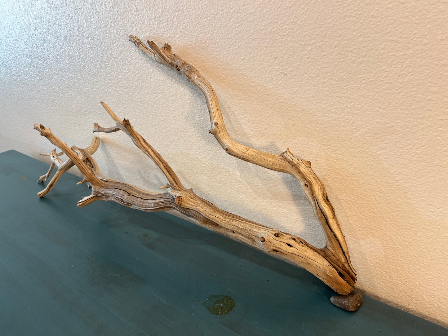 33" XL Manzanita Multibranched Driftwood, Aquarium Centerpiece, XL Aquascape