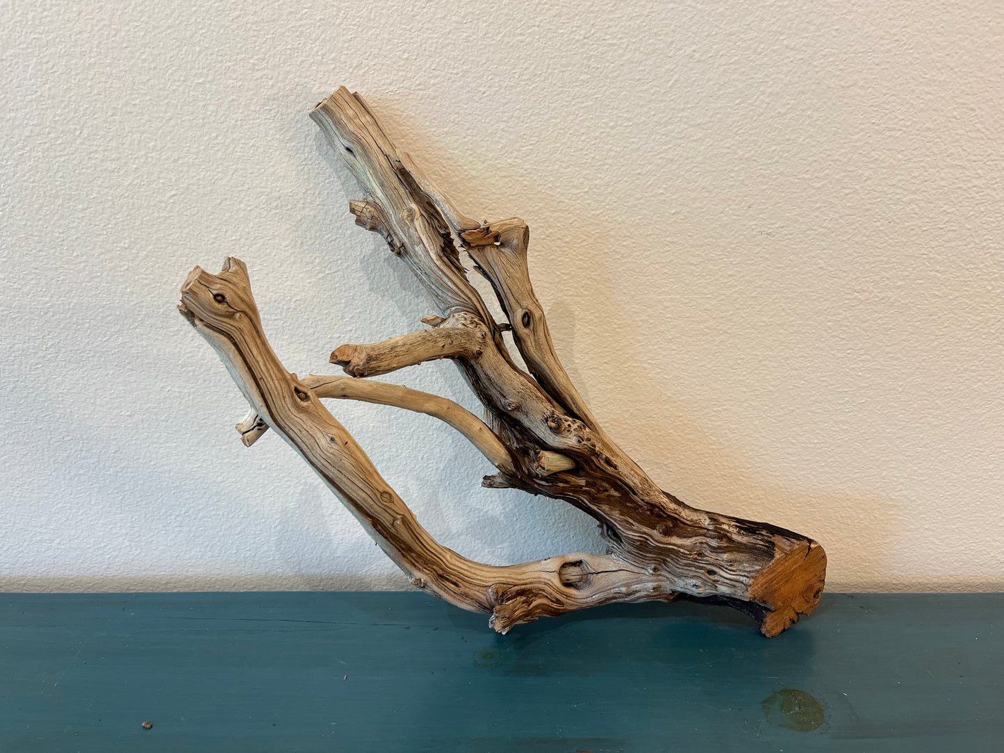 23" Multi Branched Manzanita Driftwood, Aquarium Decor, Reptile Wood, Terrarium Decor