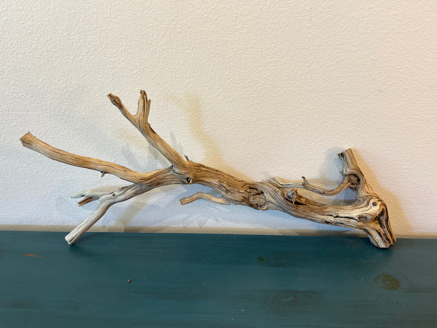 29" Manzanita Driftwood Arch, Aquarium Wood, Aquascape Driftwood, Reptile Wood