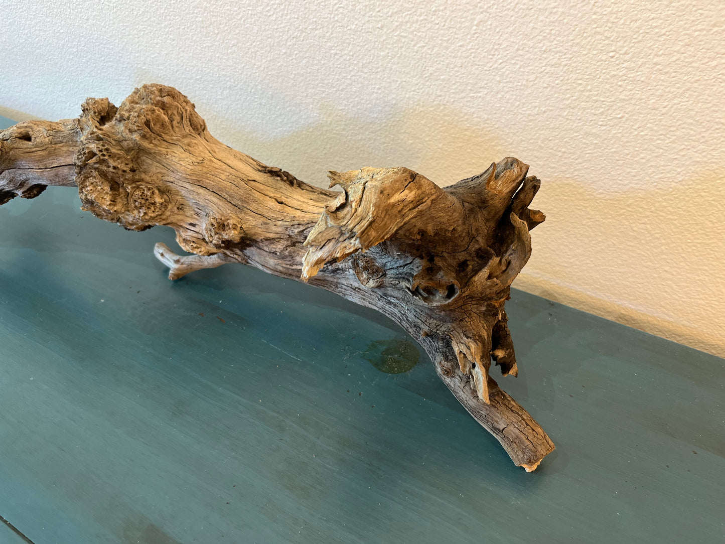 29" Manzanita Driftwood Burl, Aquascape Manzanita Root, XL Driftwood, Reptile Wood