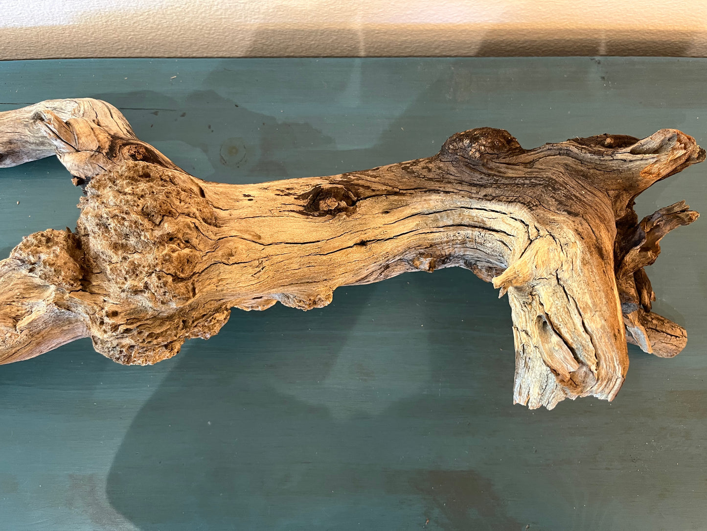 29" Manzanita Driftwood Burl, Aquascape Manzanita Root, XL Driftwood, Reptile Wood