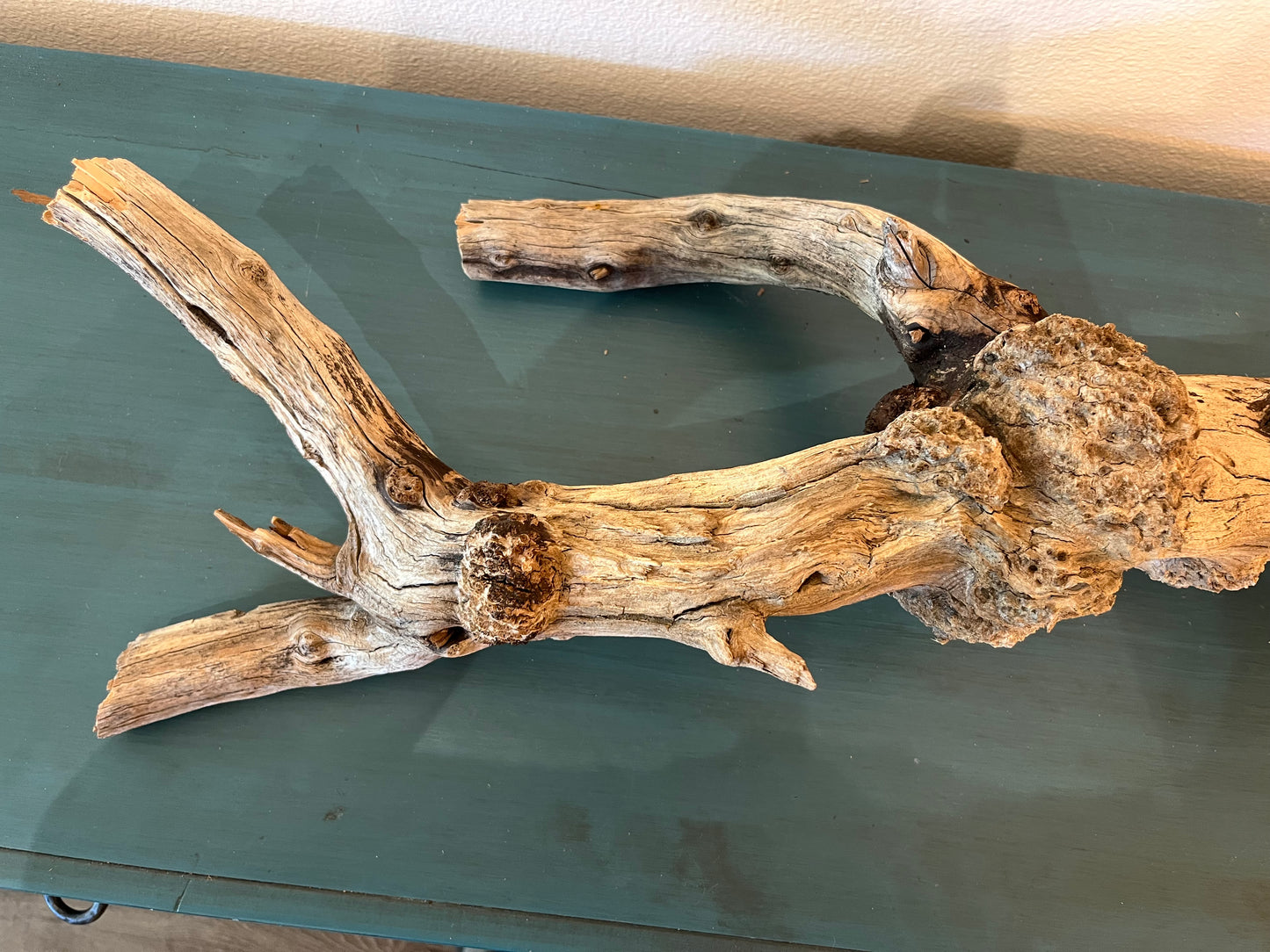 29" Manzanita Driftwood Burl, Aquascape Manzanita Root, XL Driftwood, Reptile Wood