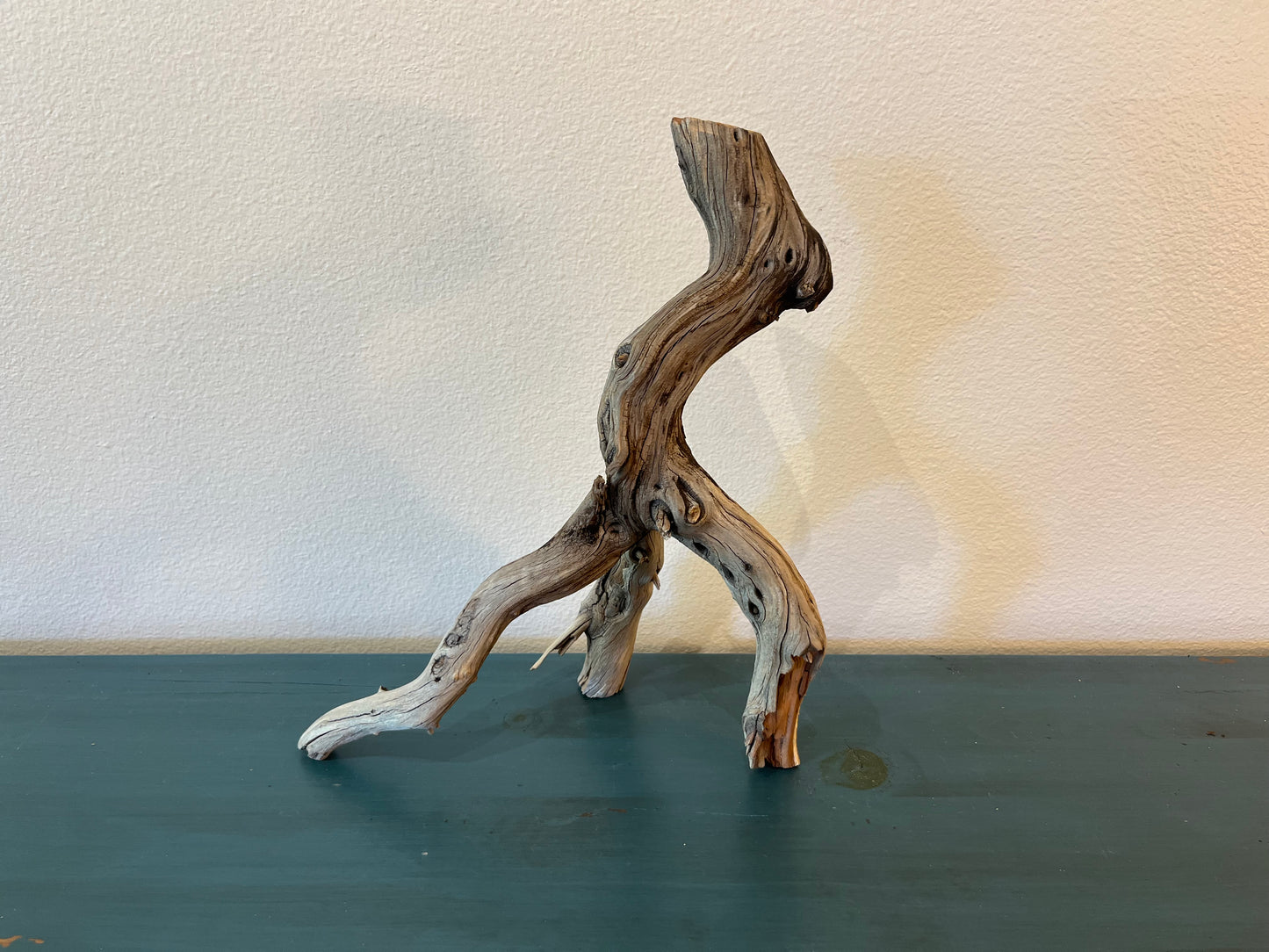 14" Manzanita Driftwood Branch Tripod, Nano Driftwood, Unique Driftwood, Aquarium Decor