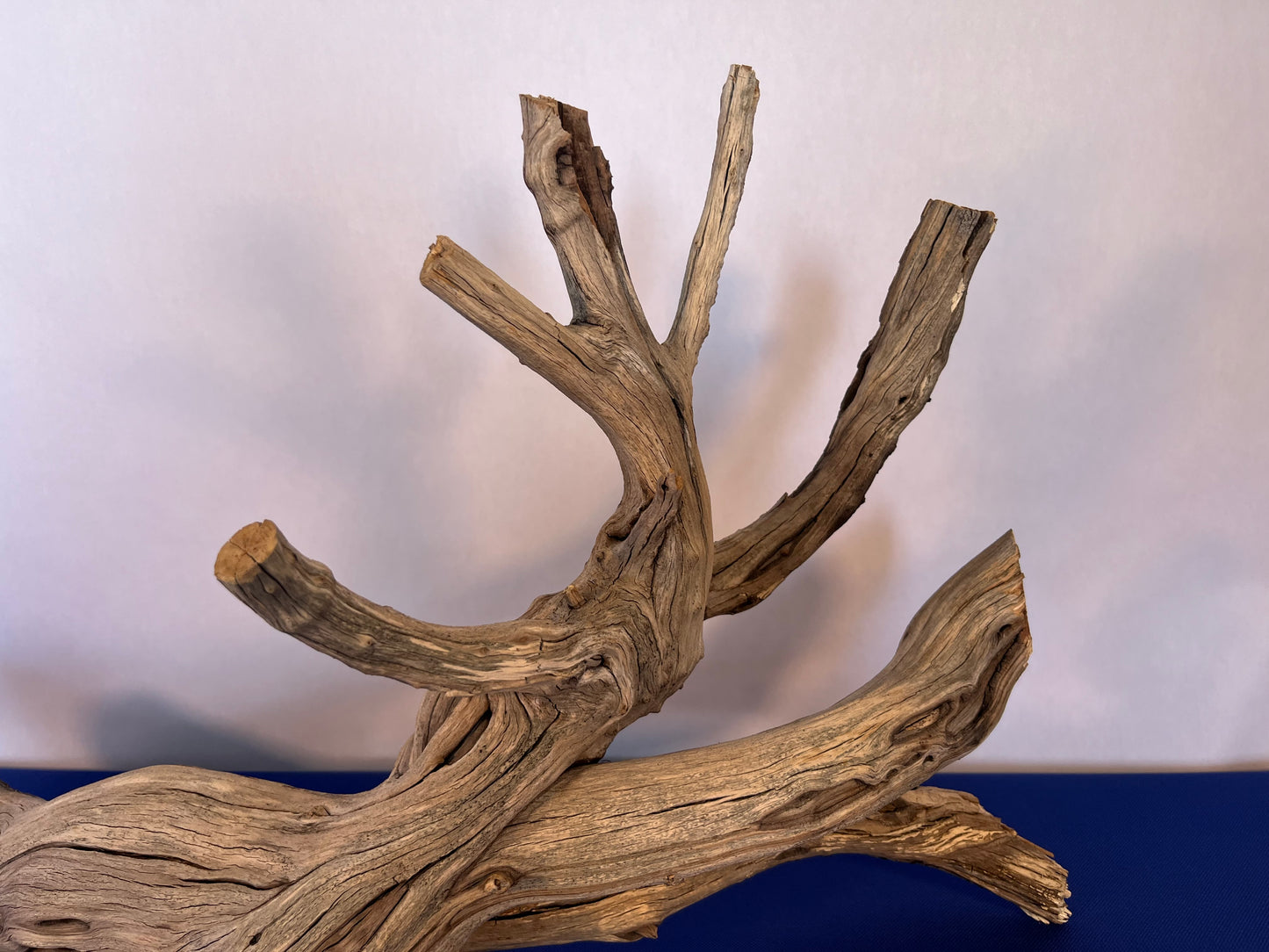 Manzanita Driftwood 27" Aquascape Branch, Reptile Wood, XL Driftwood