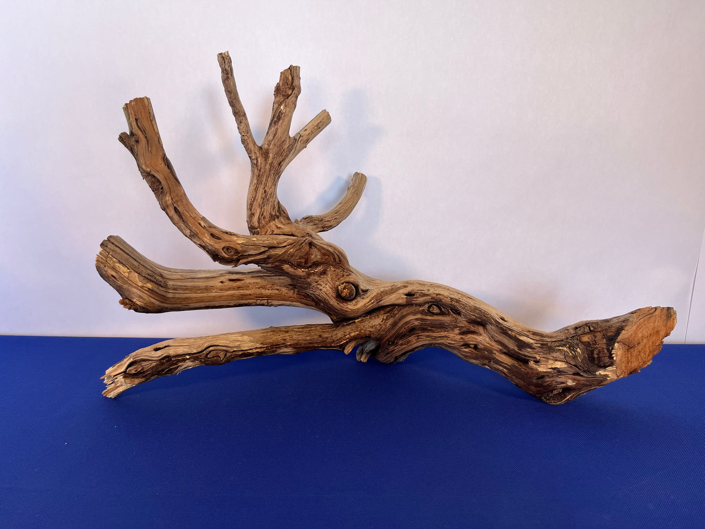 Manzanita Driftwood 27" Aquascape Branch, Reptile Wood, XL Driftwood