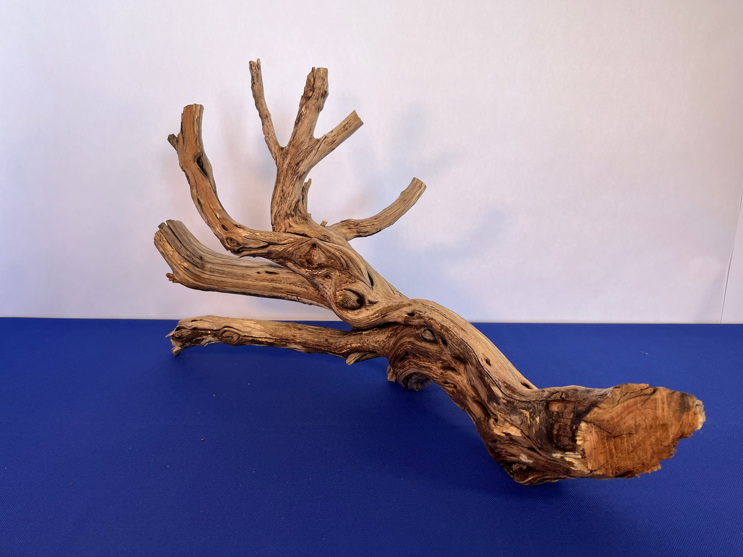 Manzanita Driftwood 27" Aquascape Branch, Reptile Wood, XL Driftwood