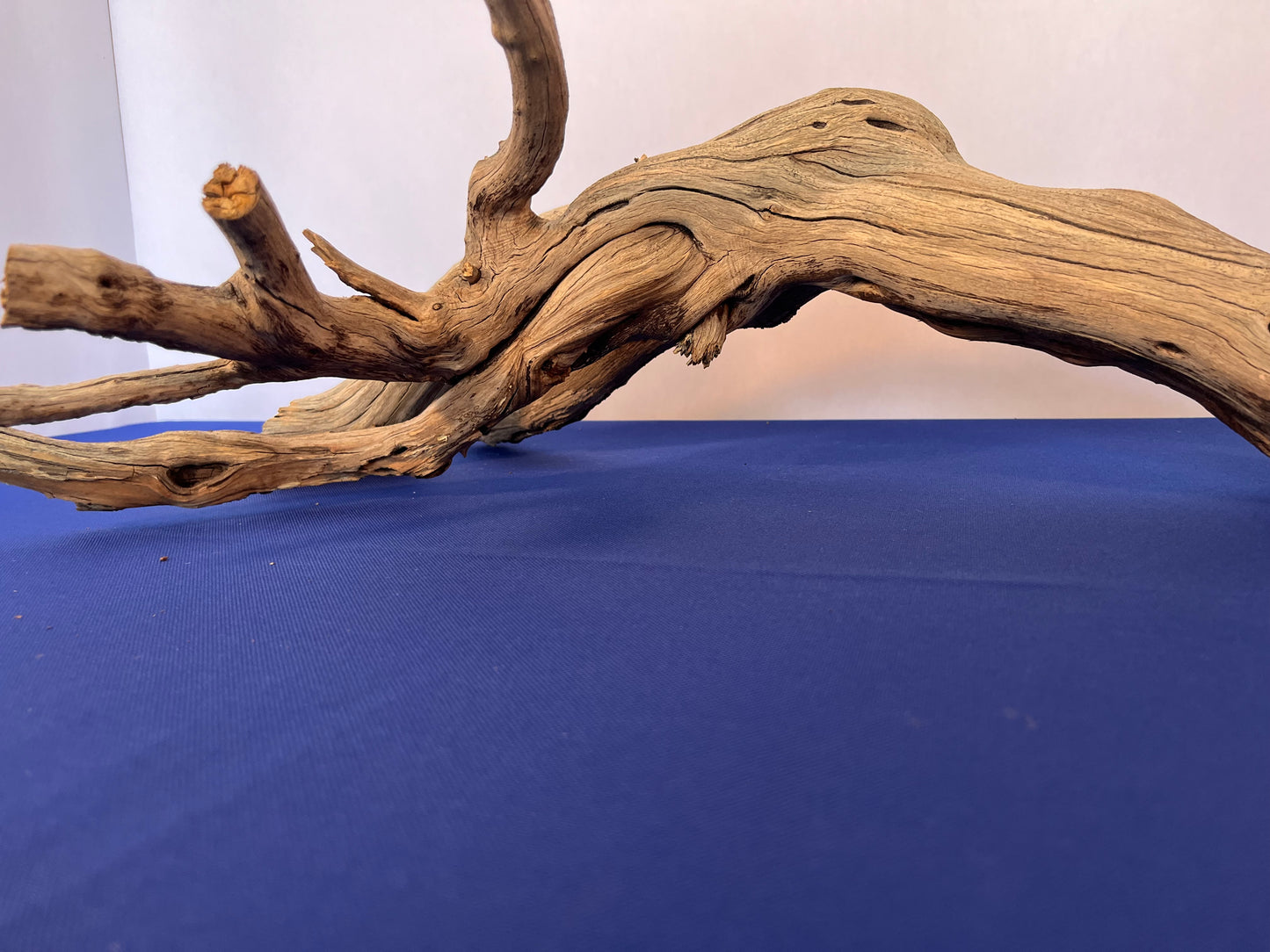 Manzanita Driftwood 27" Aquascape Branch, Reptile Wood, XL Driftwood