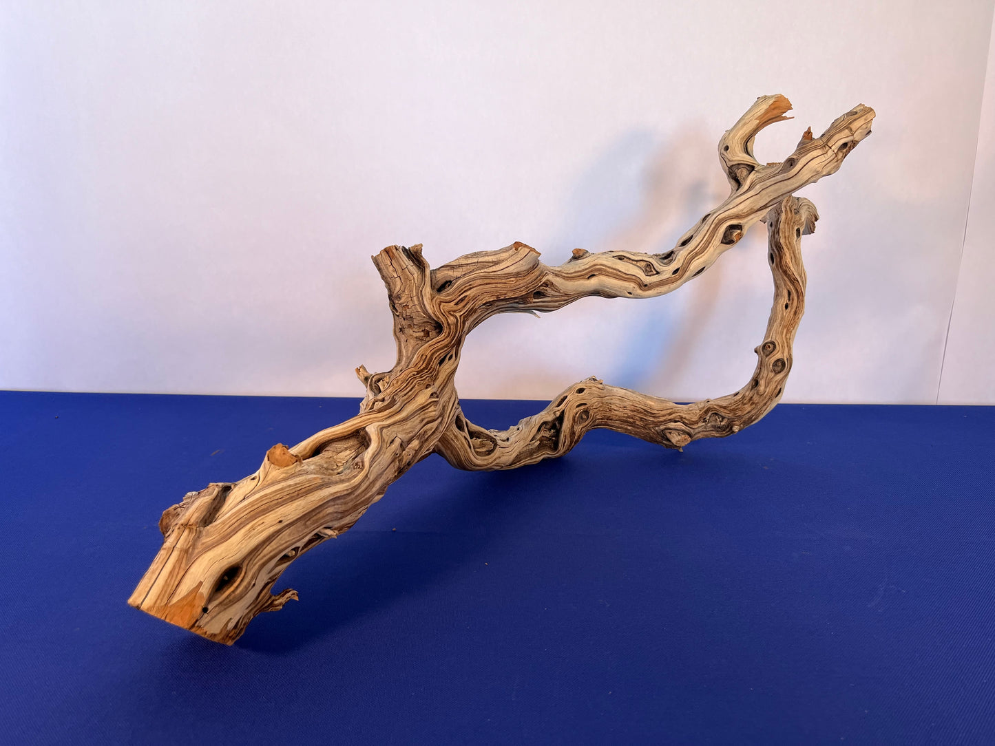 28" Manzanita Driftwood Arch, XL Driftwood Centerpiece, Aquascape Driftwood