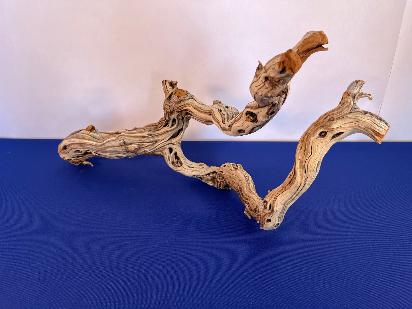 28" Manzanita Driftwood Arch, XL Driftwood Centerpiece, Aquascape Driftwood