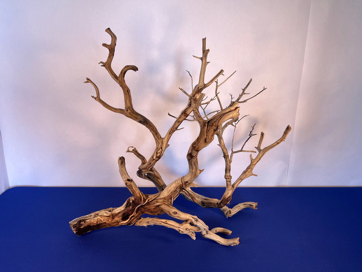 30" XL Manzanita Driftwood, Aquascape Centerpiece, Driftwood Branch